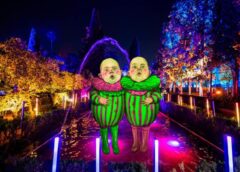 ¿Cuánto cuesta vivir Alicia en el país de las maravillas? Precios de la experiencia en CDMX