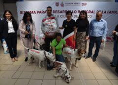 Apoyo inédito en la capital: DIF CDMX beneficiará a fundaciones de protección animal