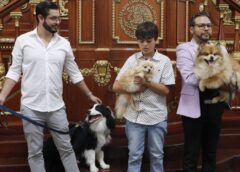 Congreso capitalino será pet friendly: aprueban acceso regulado de animales de compañía