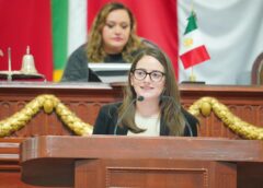 Iniciativa en el Congreso CDMX plantea corresponsabilidad social en el trabajo doméstico