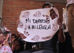 Lenguas indígenas en México: riqueza cultural frente al riesgo de extinción