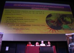 Festival CÁCARO 2026: cartelera, sedes y el impulso al nuevo cine mexicano